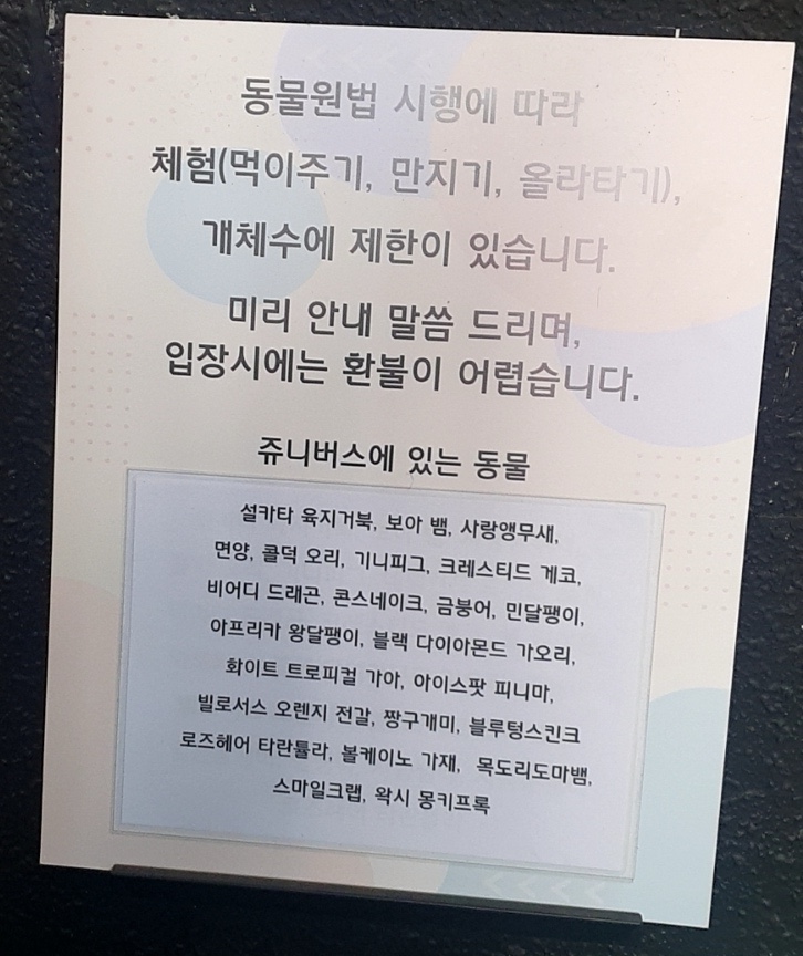 쥬니버스 이미지