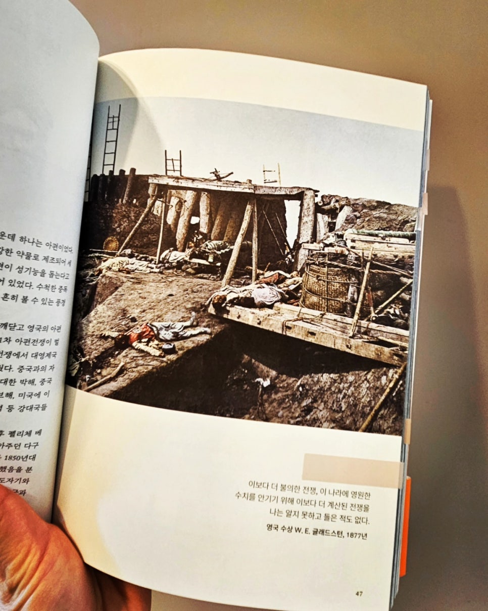 대영청과 이미지