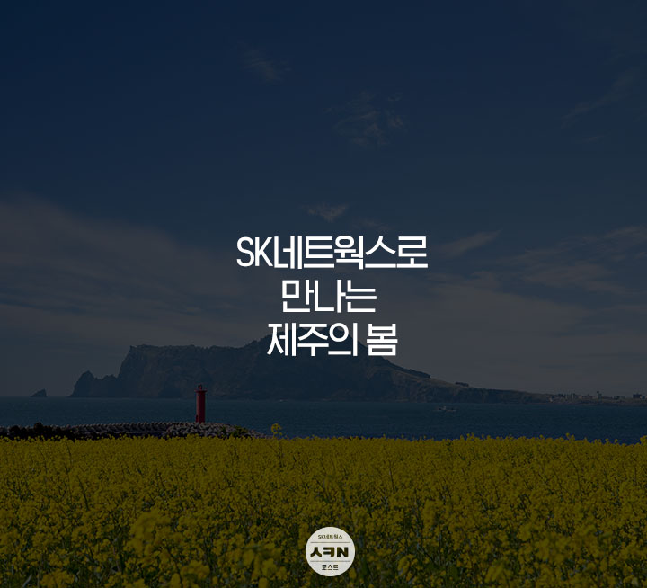봄네트웍스 이미지