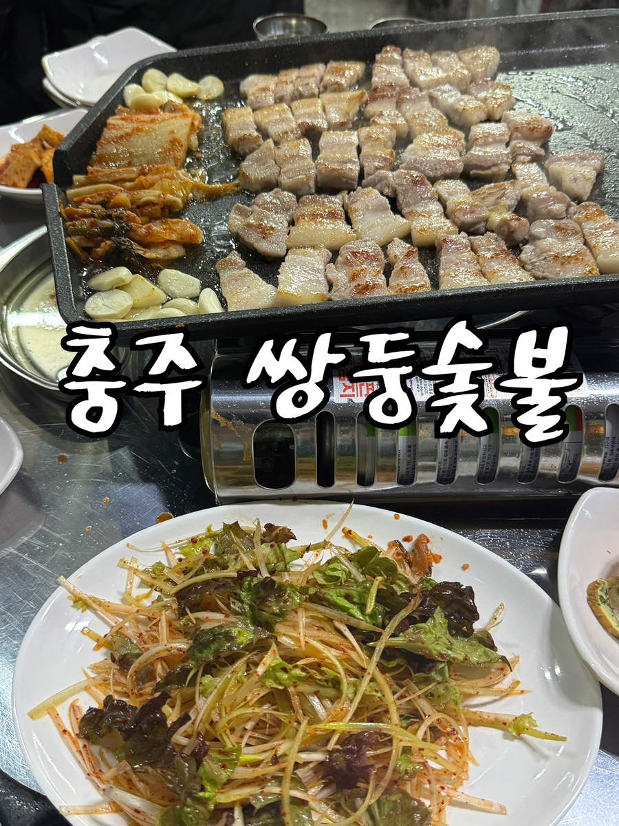 쌍둥숯불 이미지