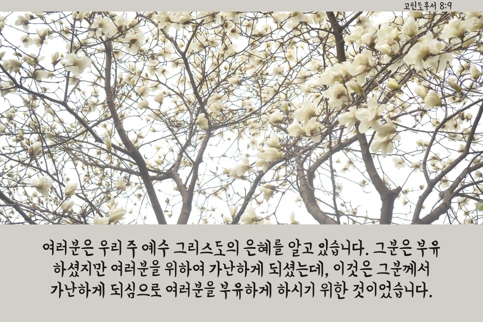 은혜환경주 이미지