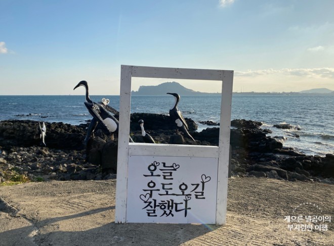 제주테마투어 이미지