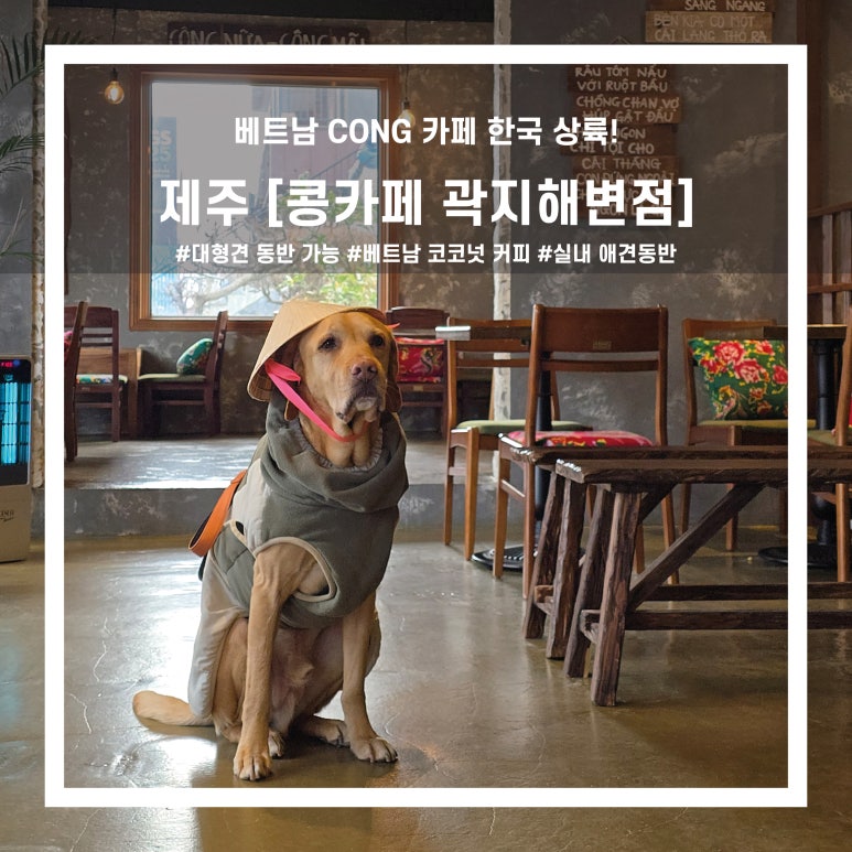 콩카페곽지해변점 이미지