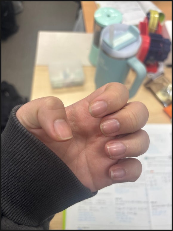 손토비발토비 이미지