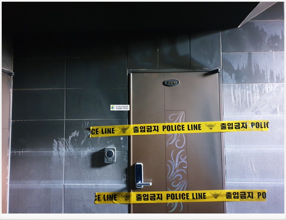 영토탈크리닝 이미지