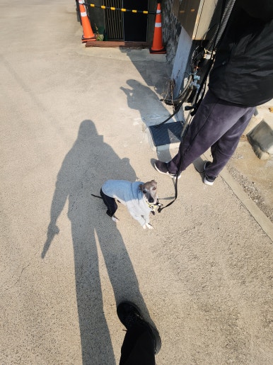 빅프렌즈미디어카페 이미지