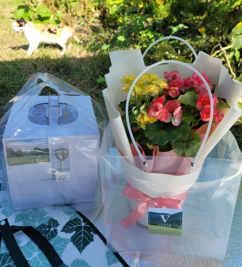 베르아즈 이미지