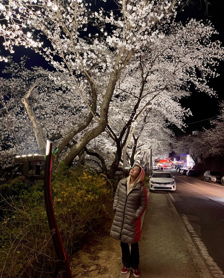 카페하동꽃길 이미지