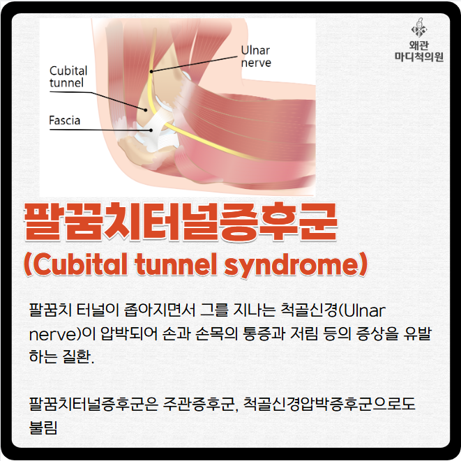 왜관마디척의원 이미지