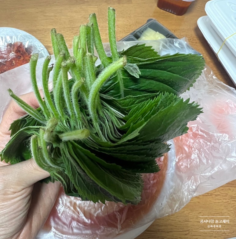 우암횟집 이미지