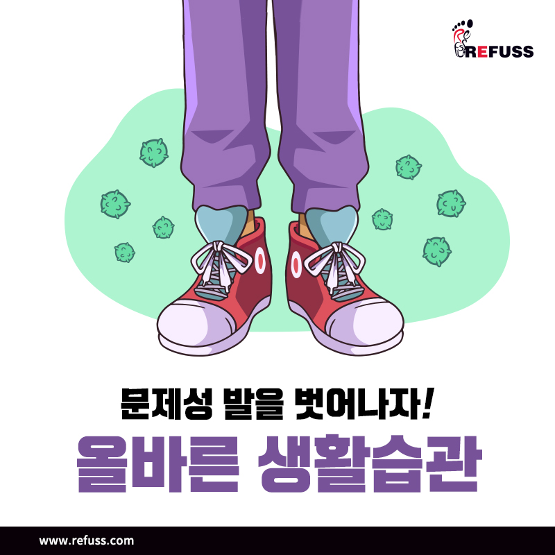 레푸스 이미지