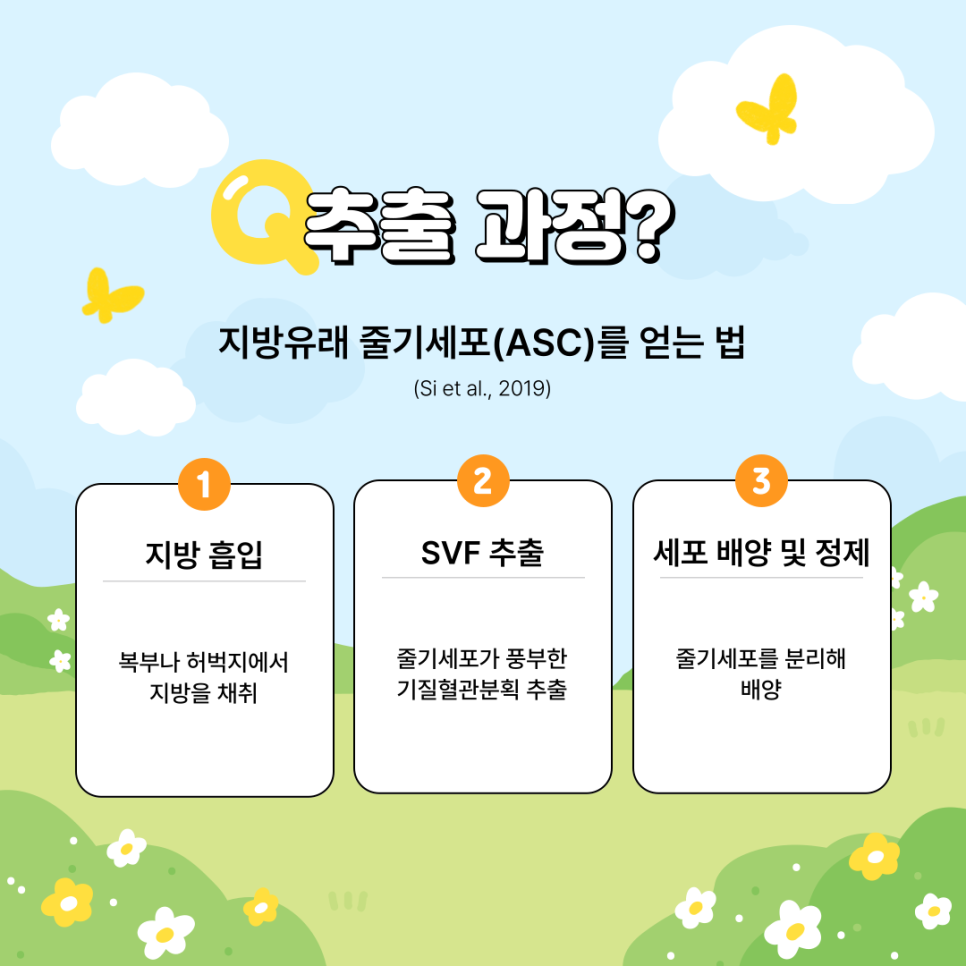 003 성형외과의 숨은 강자, 우리 몸 속 보물인 지방유래 줄기세포(ASC)의 분리부터 활용법까지!