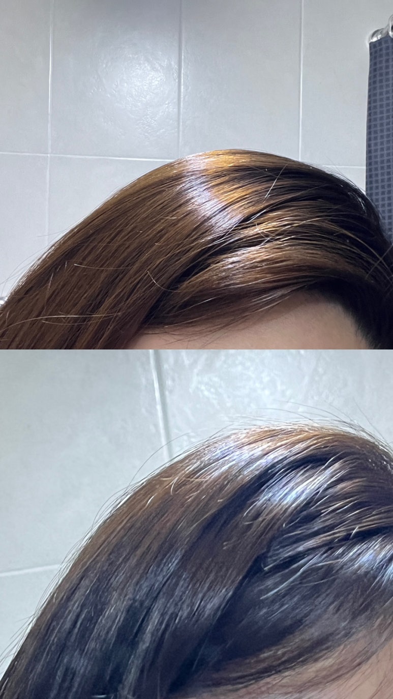 츠츠 이미지