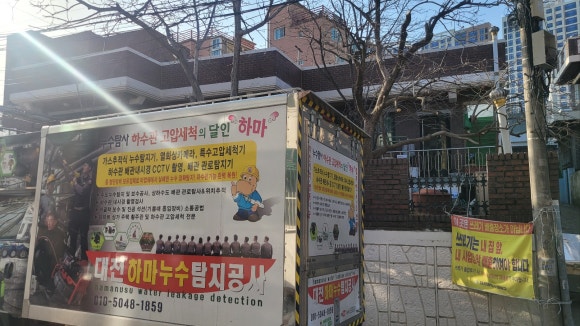 일단와봐유 이미지