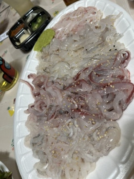 마구잡이수산 이미지