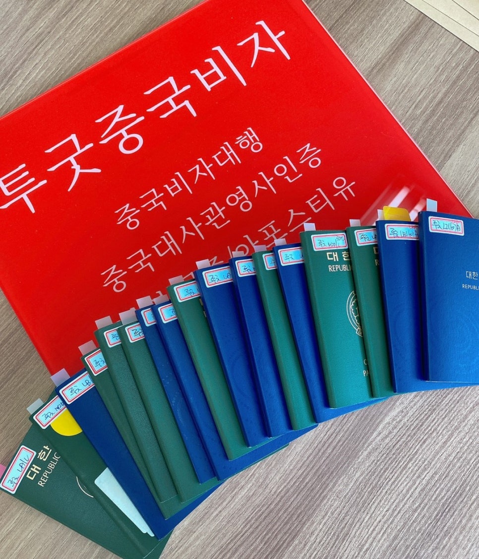글로벌투굿비자 이미지