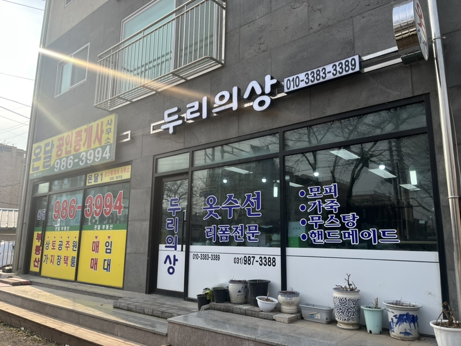 두리수선 이미지