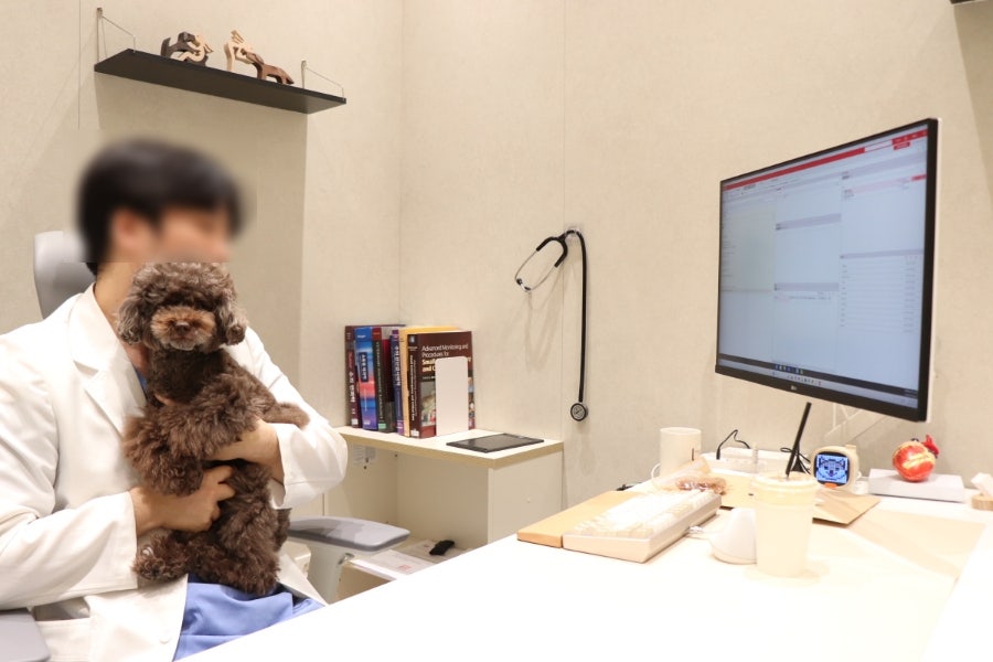 오산 강아지 건강검진: 하나린동물의료센터 슬개골탈구 진단 후기