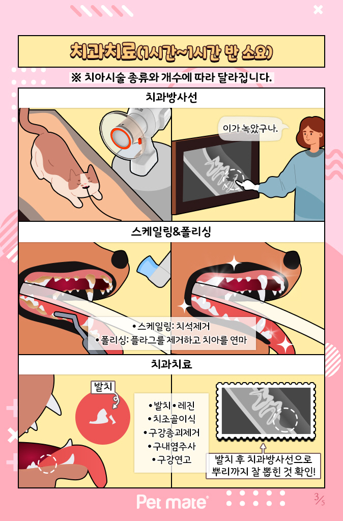 조이치과 이미지