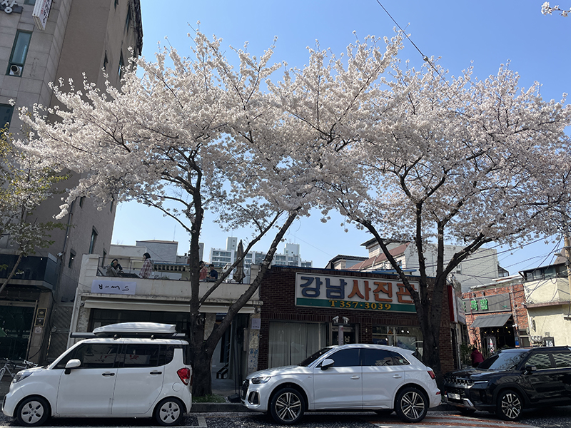 빵스카페 이미지