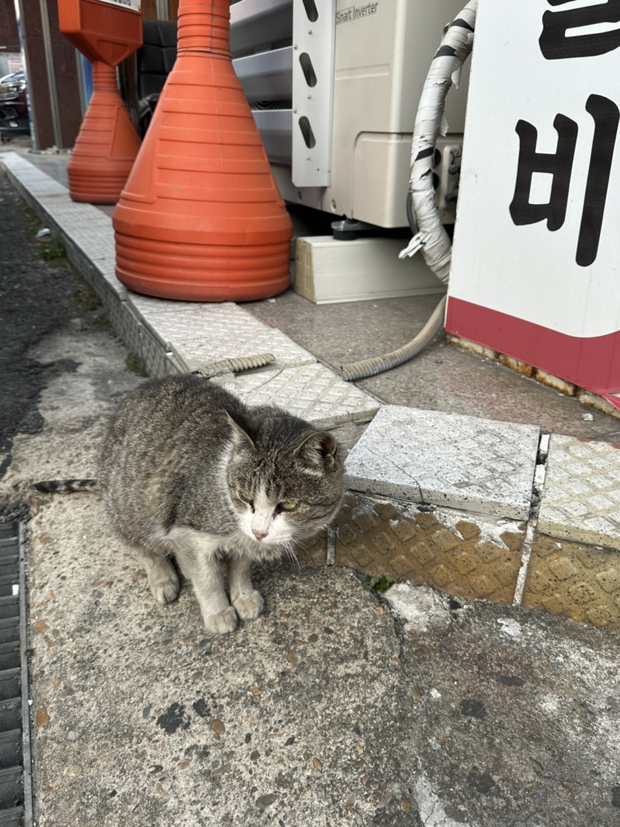 삼손숯불갈비 이미지