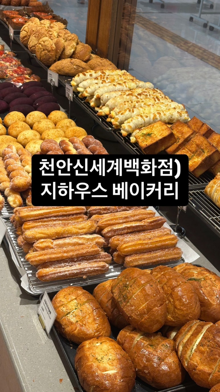 지하우스 이미지