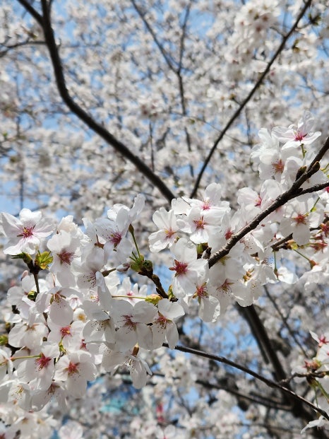 (주)대청기업 이미지