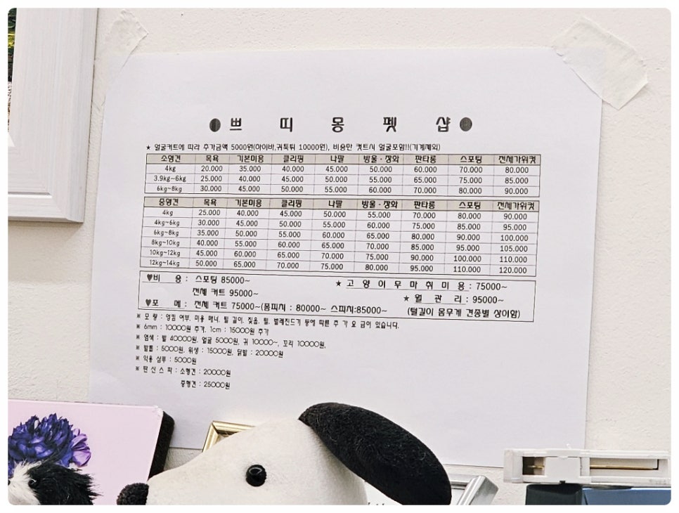 부산 비숑 가위컷 전문 쁘띠몽펫샵 미용 후기 — 사진 5