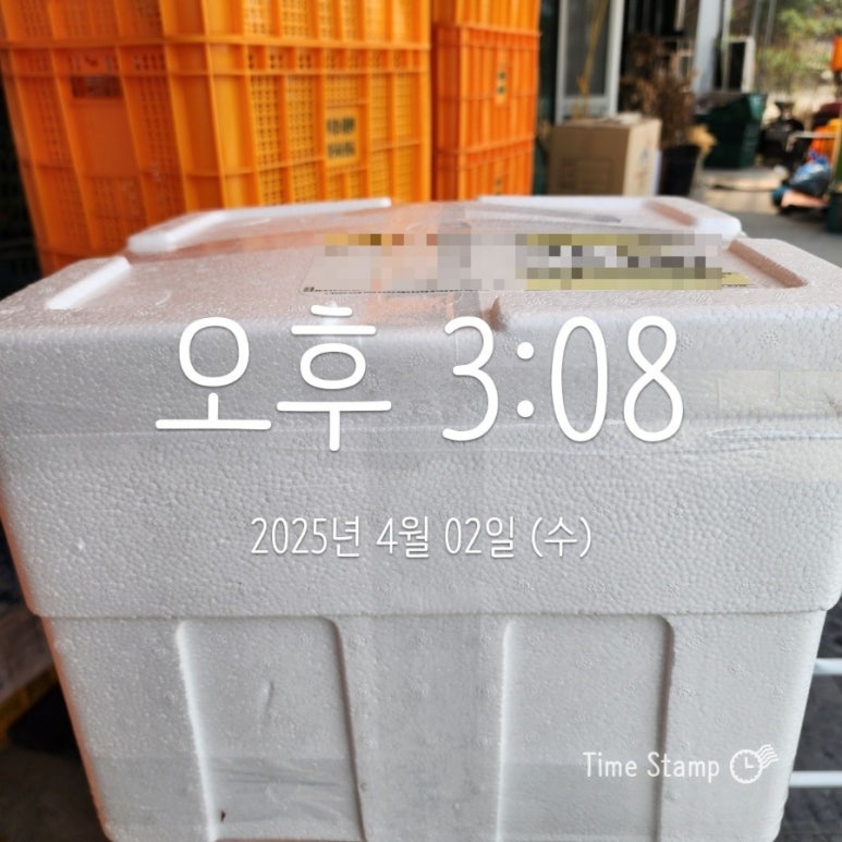 대구염소유통 이미지