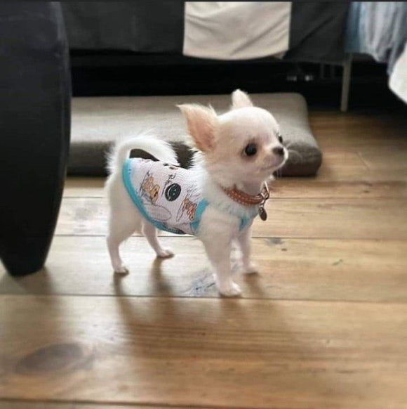 미트하우스 이미지
