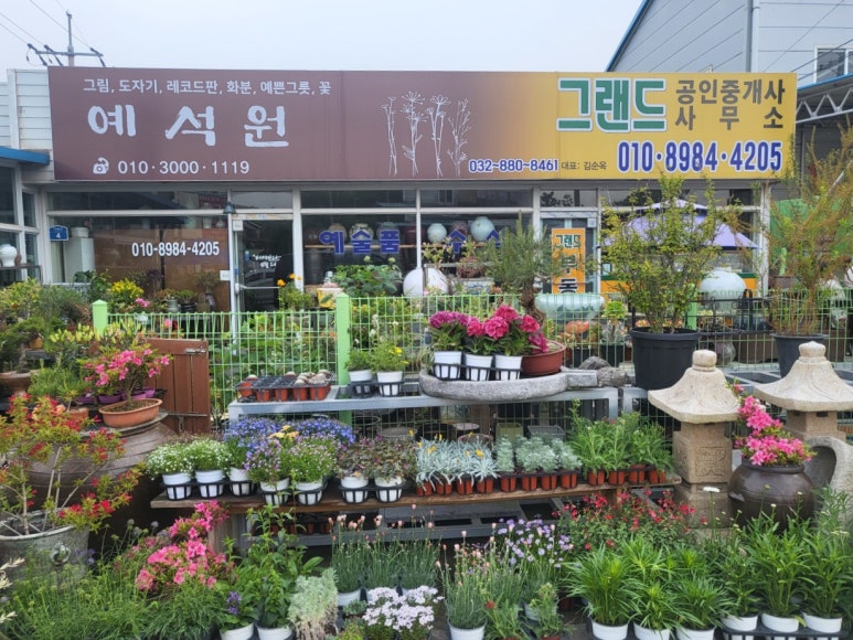 예석원 이미지
