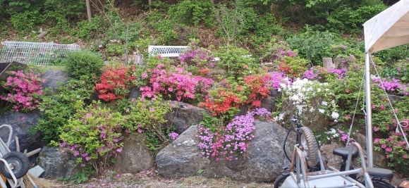 구들민박 이미지