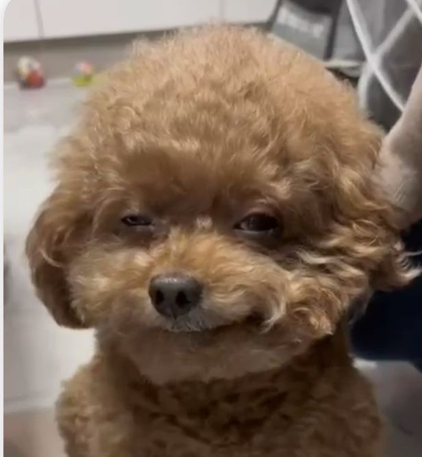 겨울지나봄 이미지