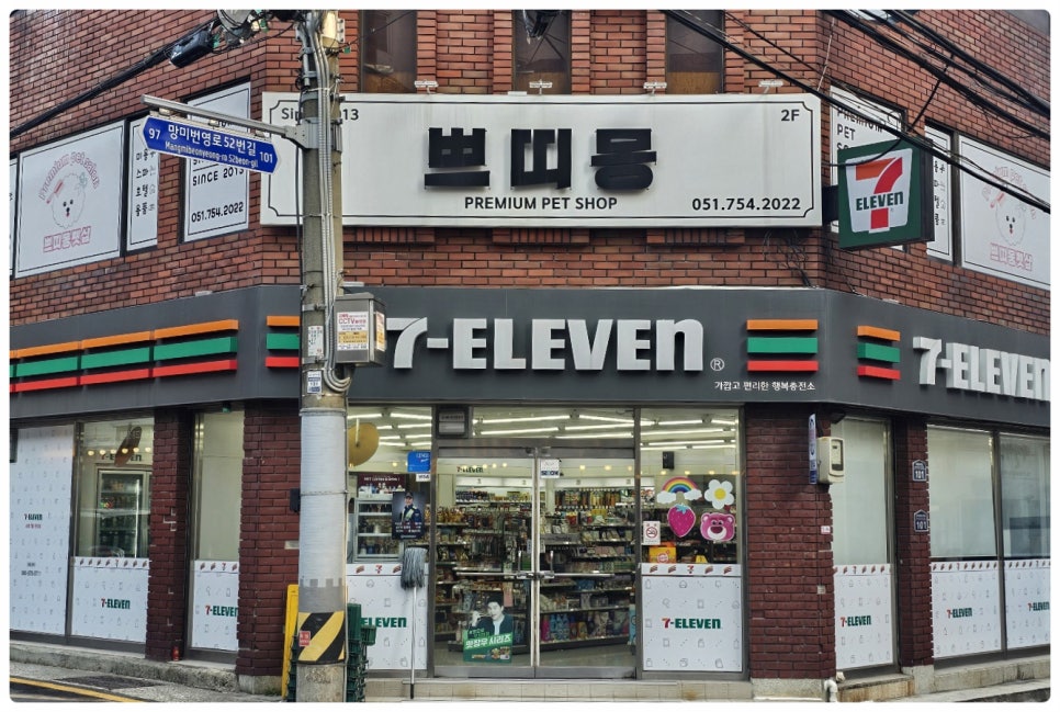 부산 비숑 가위컷 전문 쁘띠몽펫샵 미용 후기 — 사진 2