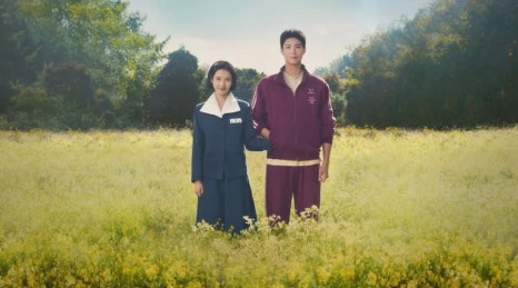 네;일상 이미지