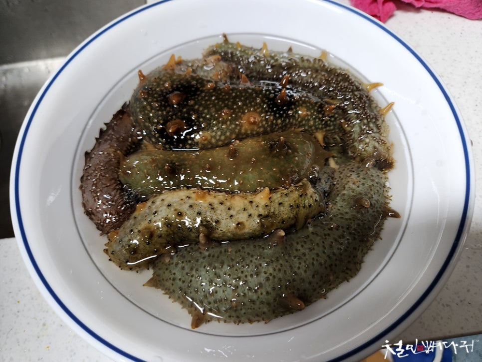 해삼집 이미지