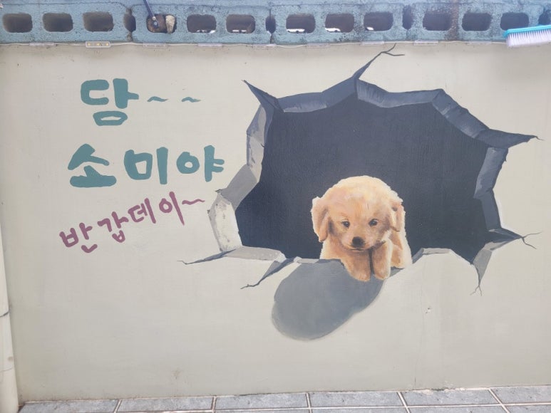담소미 이미지