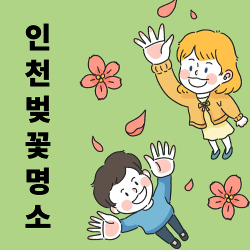솔로몬여행사 이미지