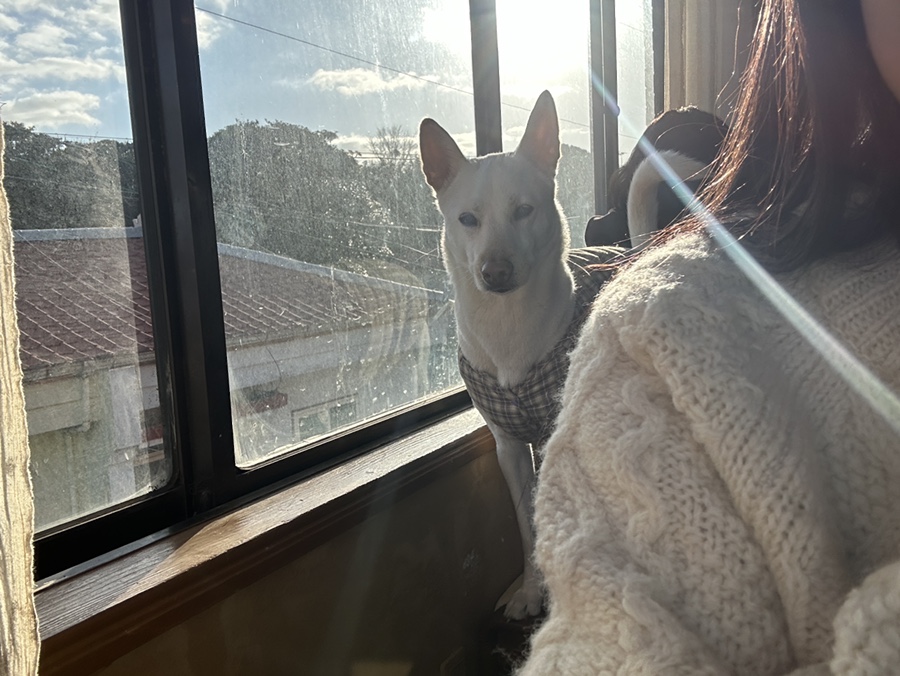 같이살자지구카페 이미지