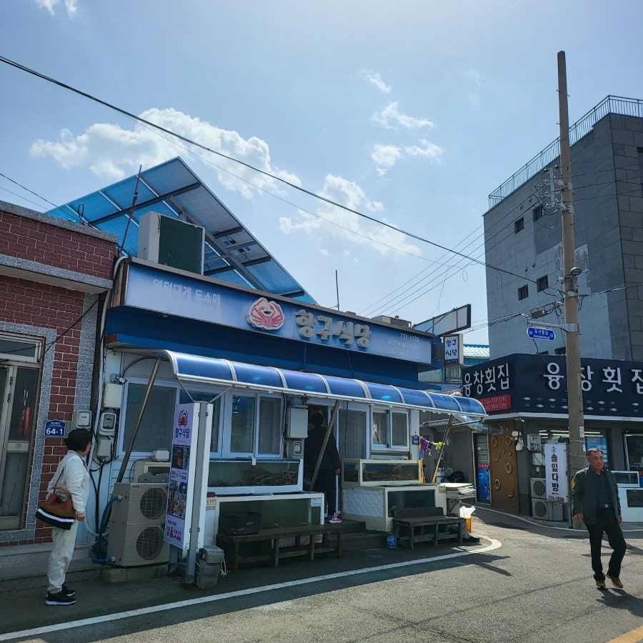 네비다라 이미지