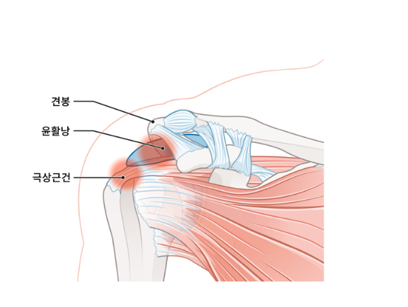 청담탑정형외과의원 이미지