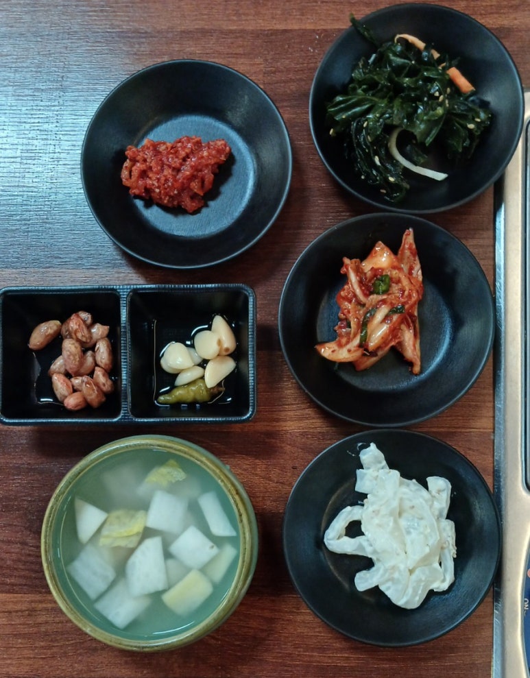 용궁복어 이미지