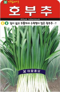 해피바스데이 이미지