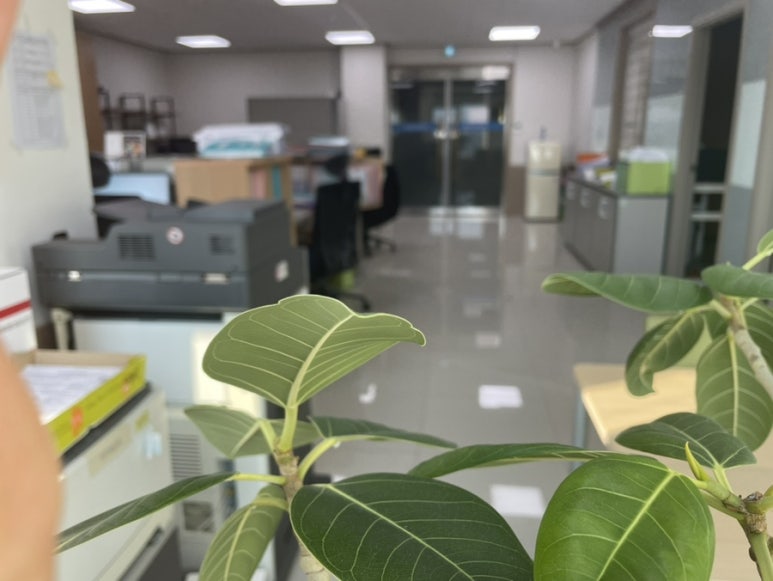 세무법인드림앤 이미지