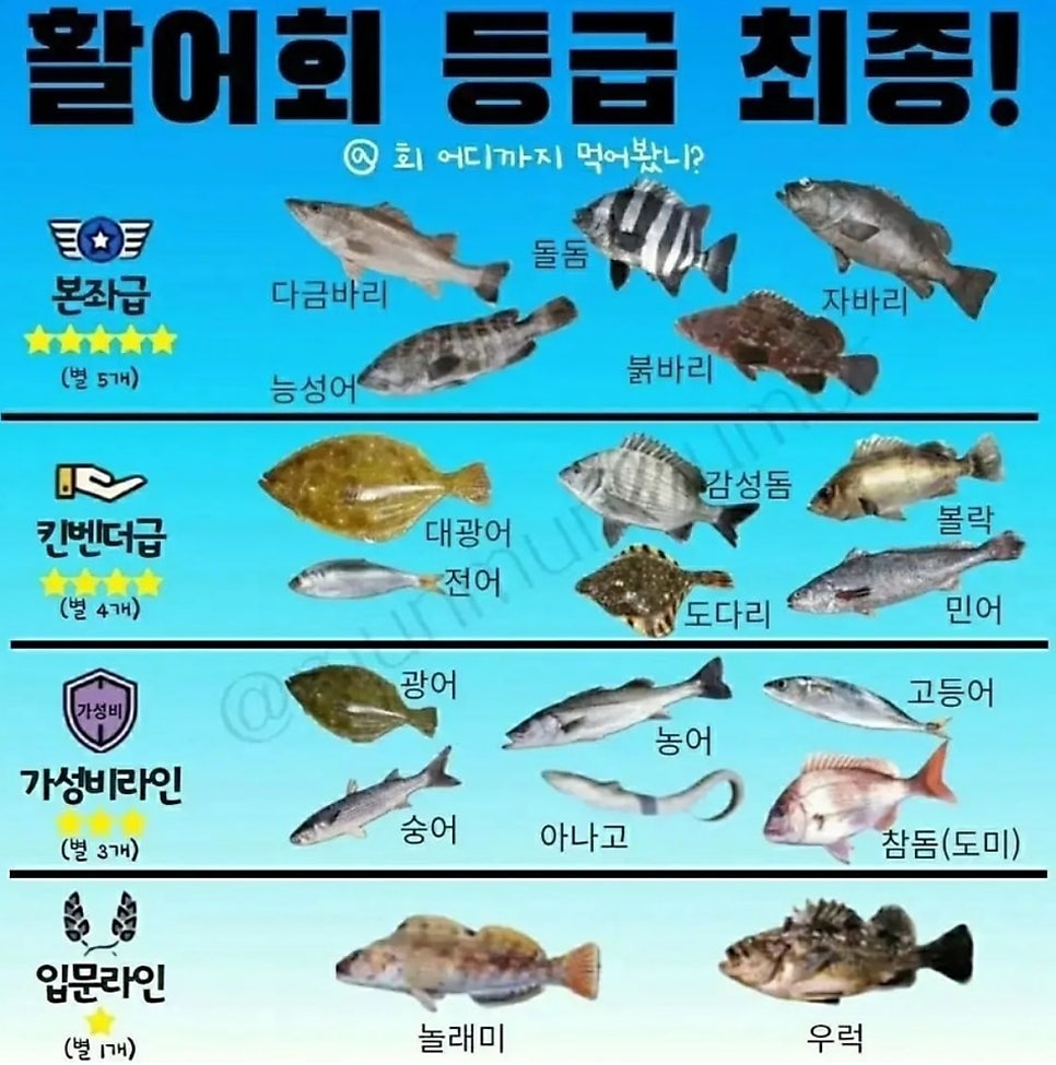 물회&막회 이미지