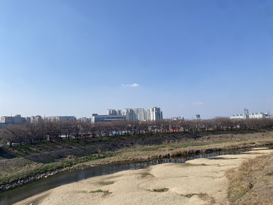 조치원빈티지 이미지
