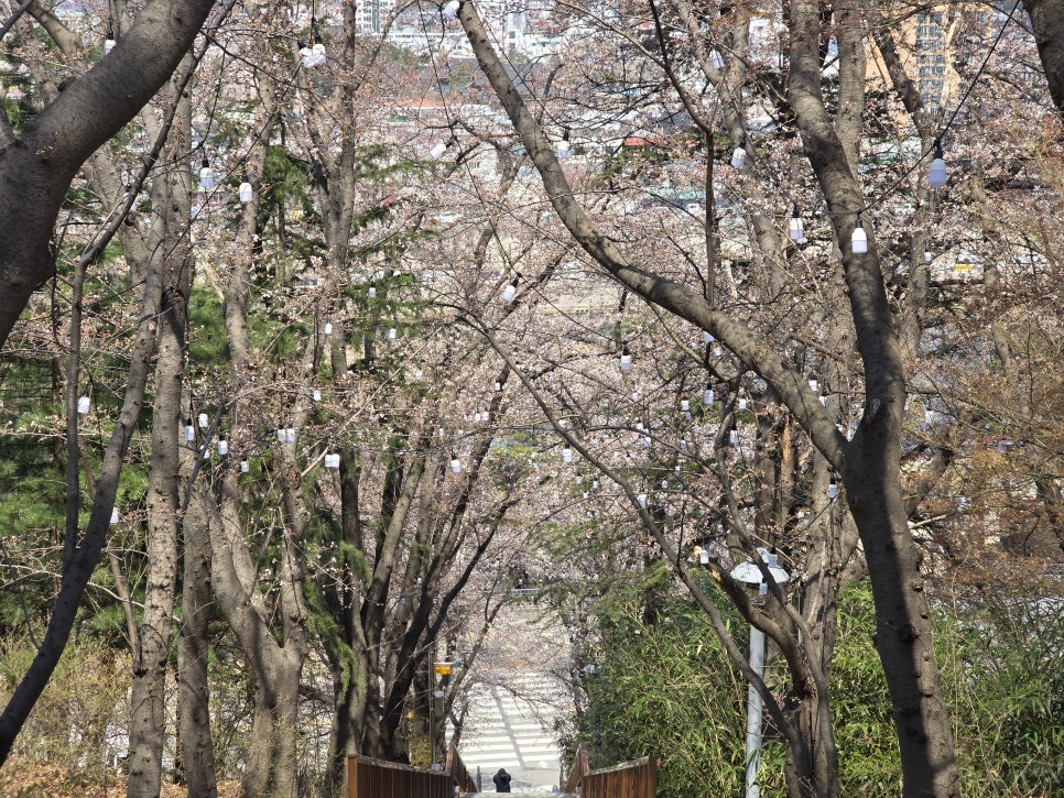 강릉꼭대기쉼터 이미지