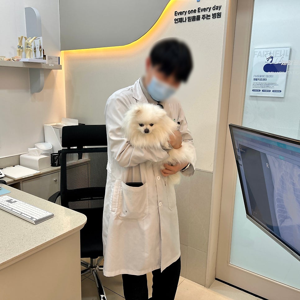 김포 장기역 FM동물메디컬센터, 강아지 슬개골탈구 진료 및 수술 — 사진 15