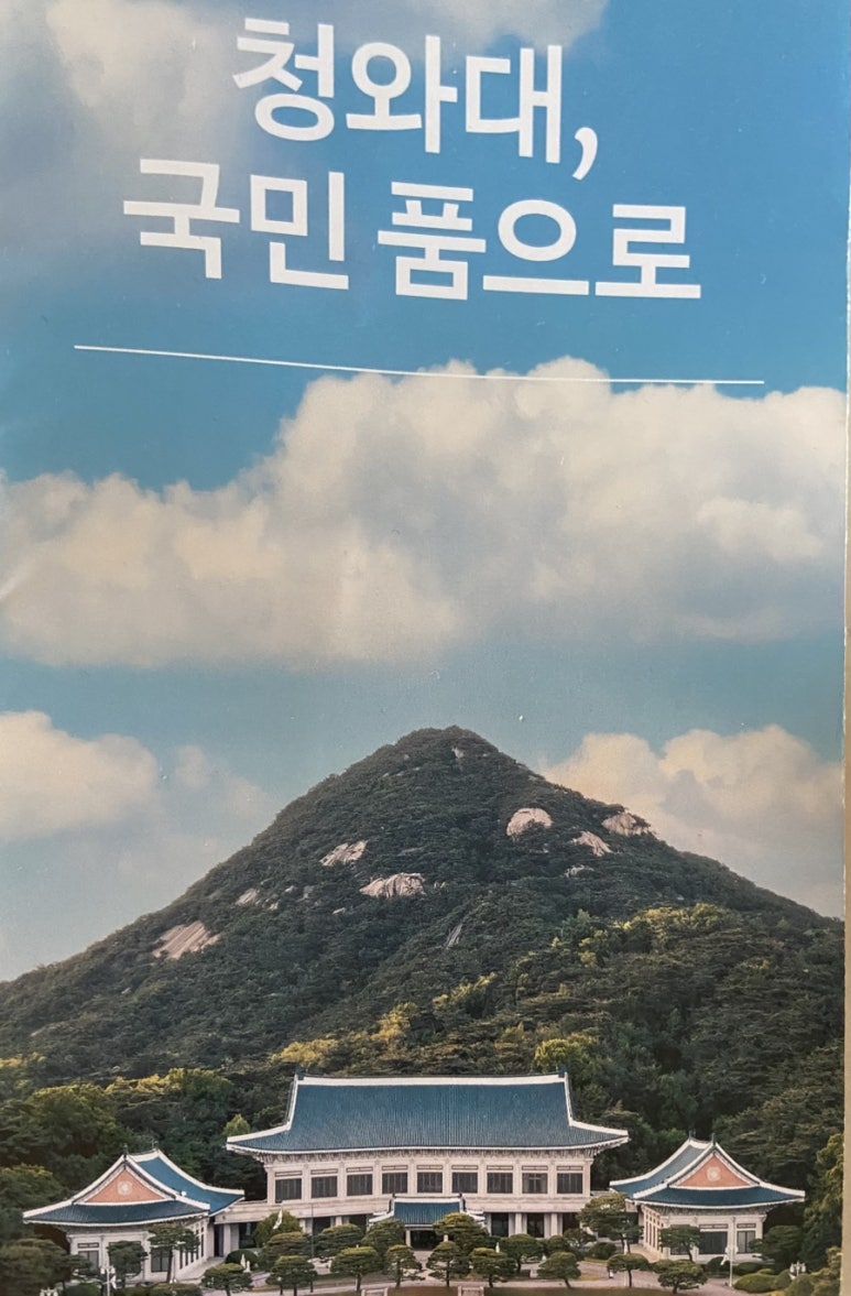 내자땅콩 이미지