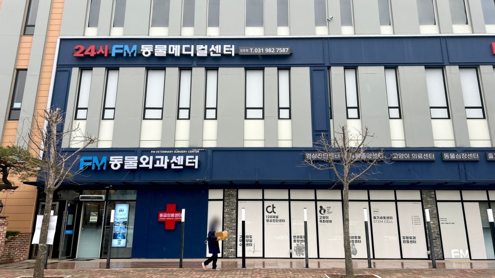김포 장기역 FM동물메디컬센터, 강아지 슬개골탈구 진료 및 수술 — 사진 2